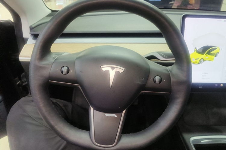 Tesla Model 3 2021 car image #15