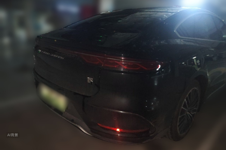 BYD Han 2024 car image #7