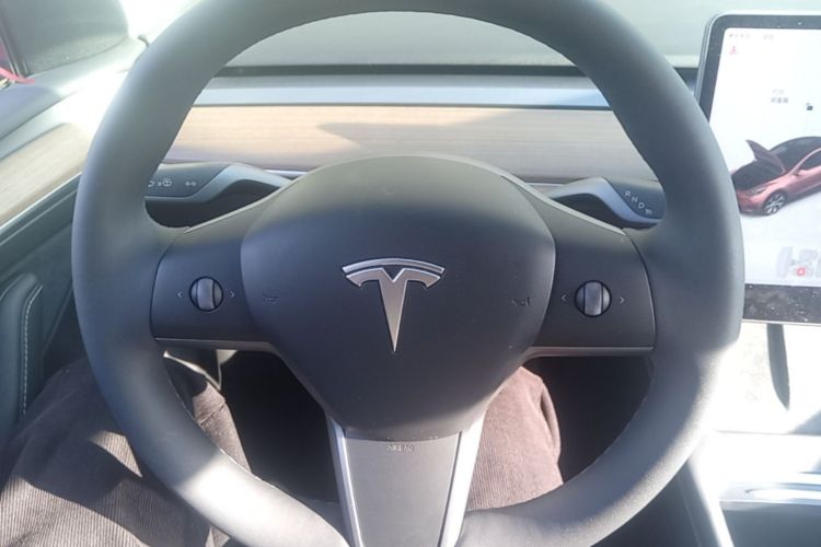 Tesla Model Y 2021 #11 Tesla Model Y 2021 car image #11