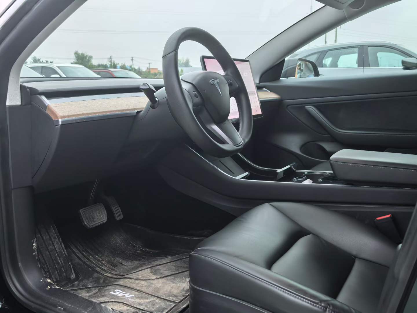 Tesla Model 3 2020 car image #6