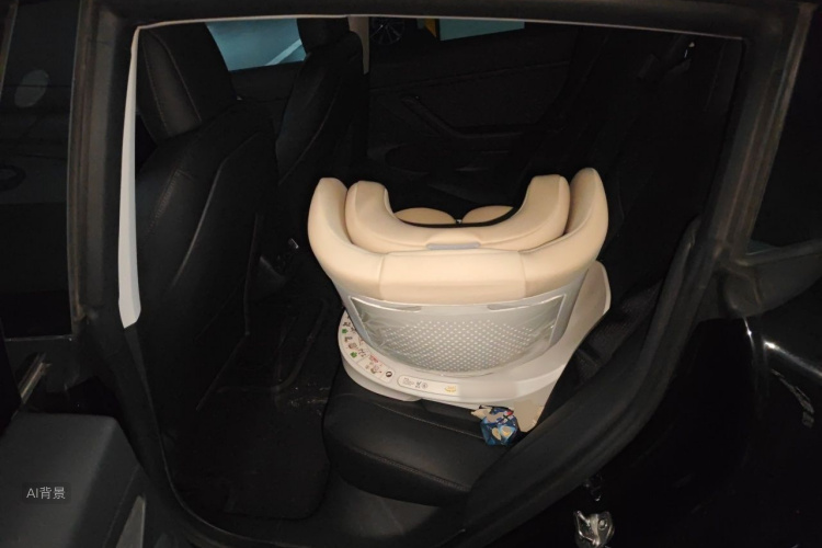 Tesla Model 3 2021 car image #19