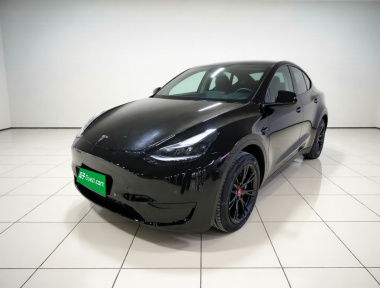 Tesla Model Y 2023 Tesla Model Y 2023 car image