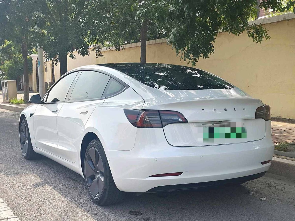Tesla Model 3 2022 car image #4