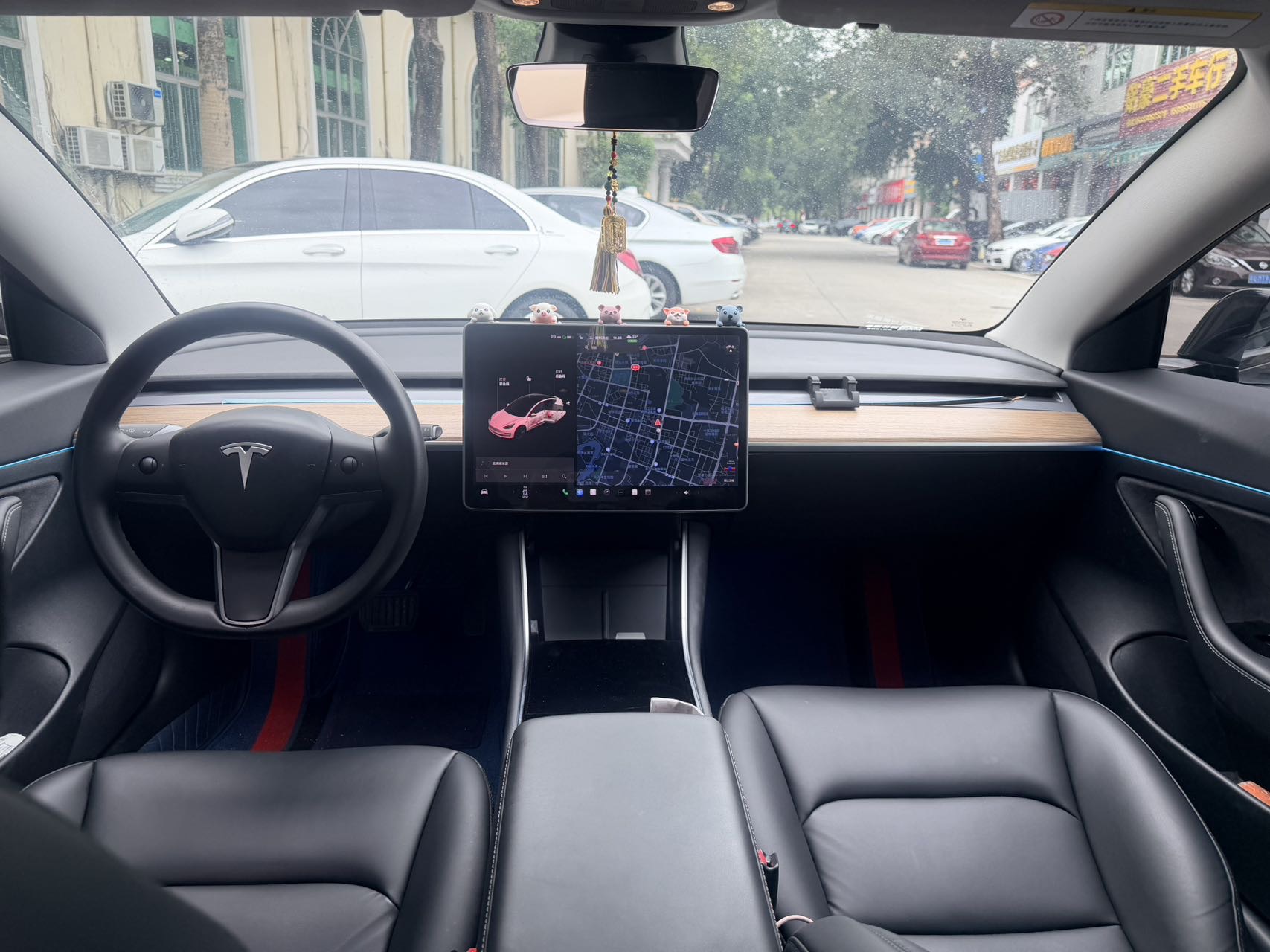 Tesla Model 3 2021 car image #8
