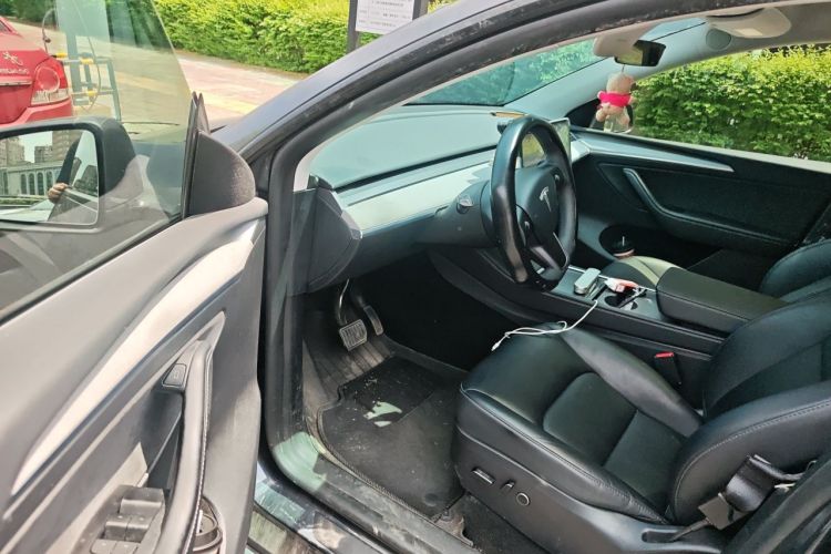 Tesla Model Y 2024 car image #13