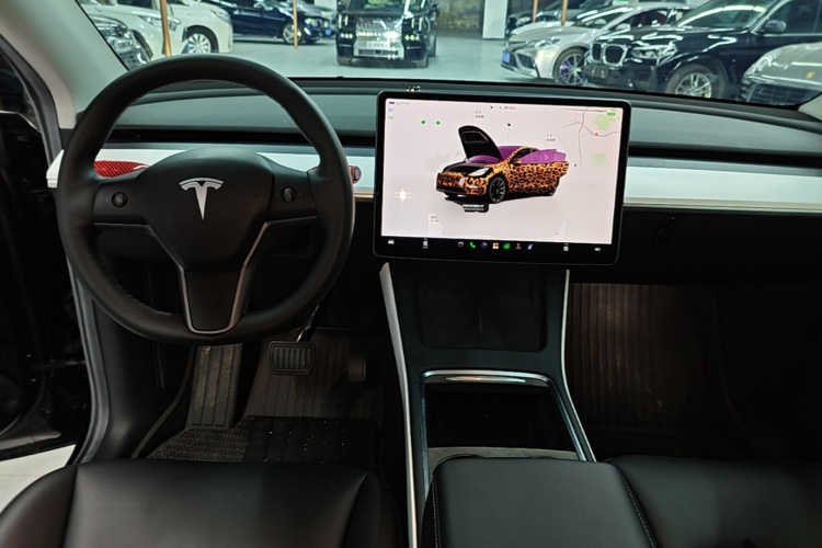 Tesla Model Y 2022 immagine di auto #10
