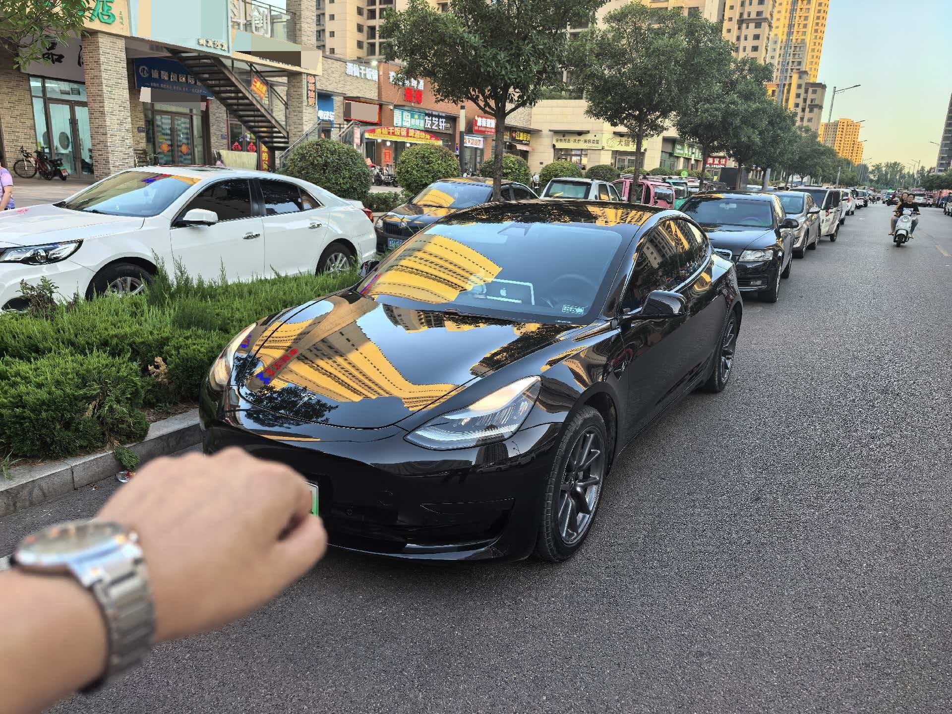 Tesla Model 3 2020 car image 