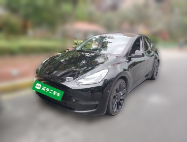 Tesla Model Y 2023 Tesla Model Y 2023 car image