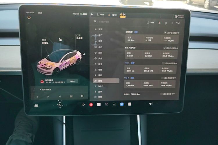 Tesla Model 3 2019 #13 Tesla Model 3 2019 car image #13