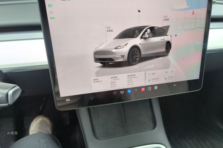 Tesla Model Y 2023 car image #15