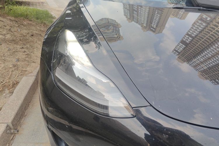 Tesla Model 3 2021 immagine di auto #8