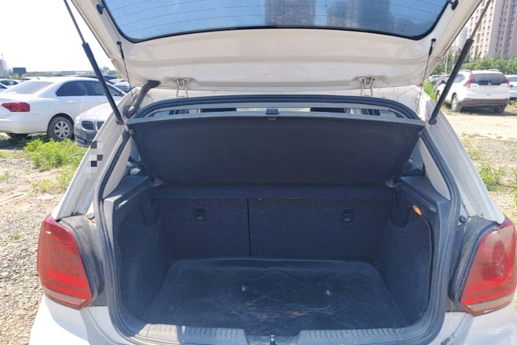 Volkswagen Polo 2015 car image #21