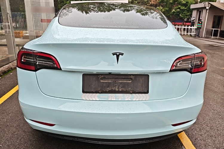 Tesla Model 3 2022 #6 Tesla Model 3 2022 صورة سيارة #6