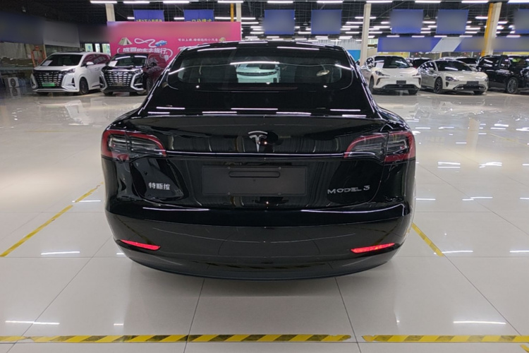 Tesla Model 3 2021 car image #6
