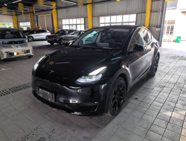 Tesla Model Y 2021 Tesla Model Y 2021 car image