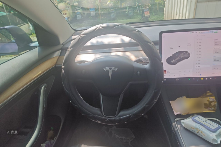 Tesla Model 3 2021 #12 Tesla Model 3 2021 car image #12