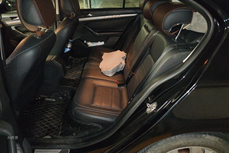 Volkswagen Lavida 2016 car image #19