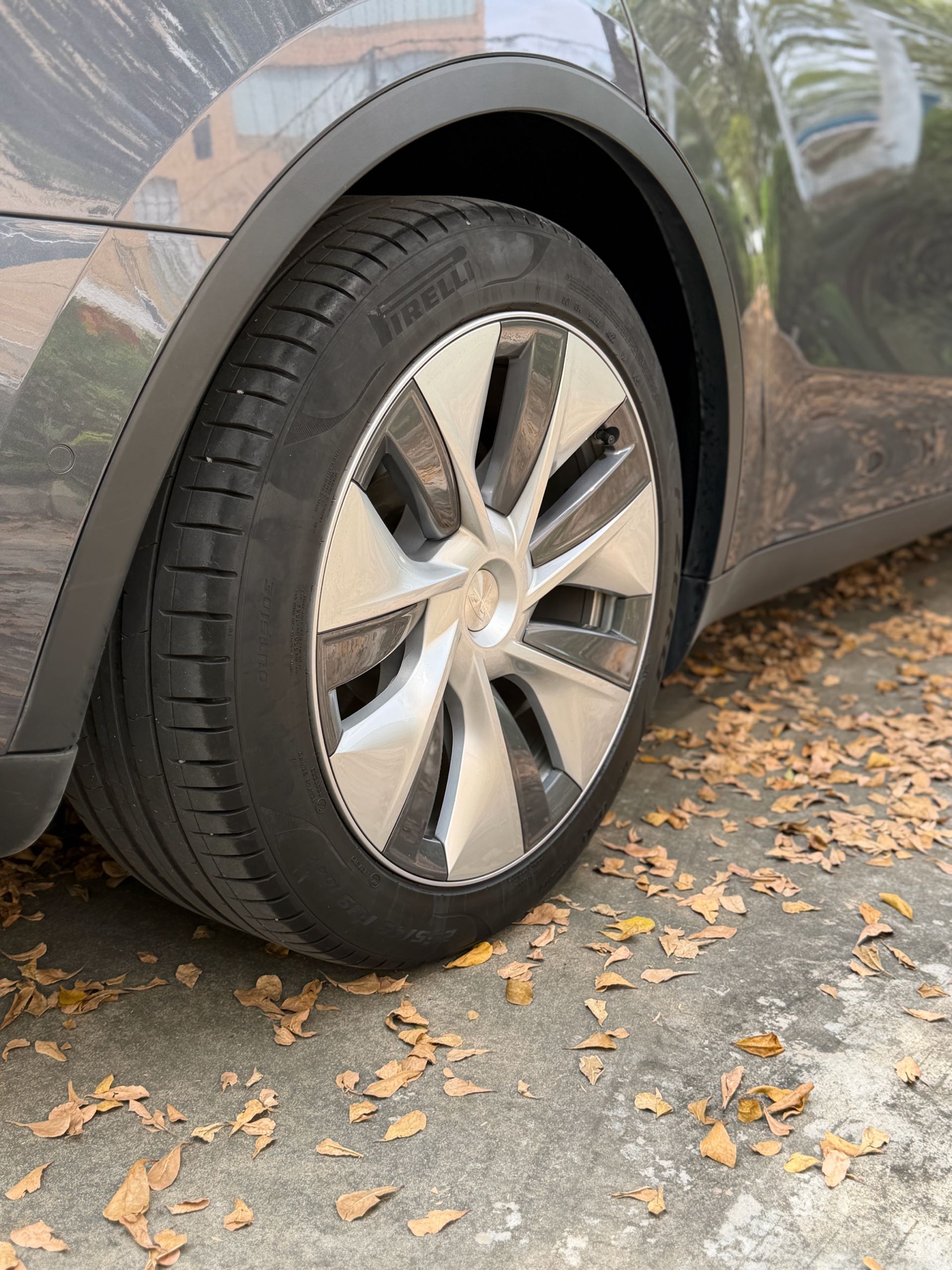 Tesla Model Y 2022 car image #3