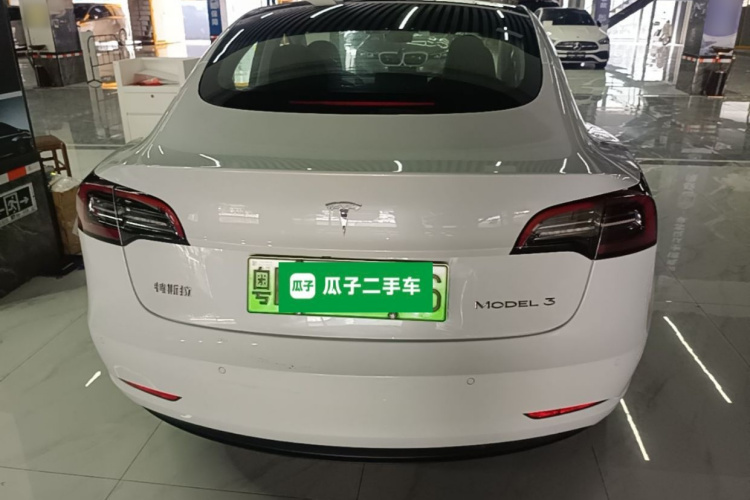Tesla Model 3 2021 #6 Tesla Model 3 2021 car image #6