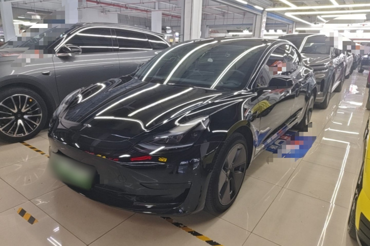 Tesla Model 3 2023 #2 Tesla Model 3 2023 car image #2