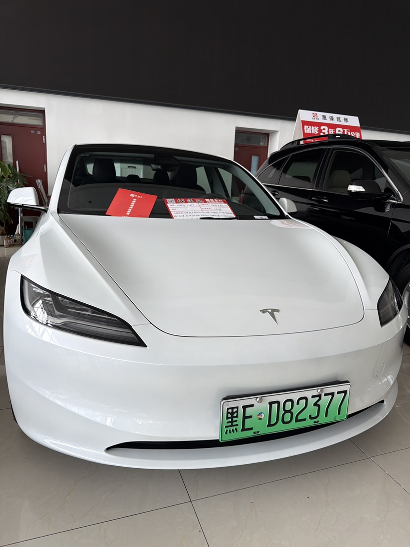 Tesla Model 3 2024 immagine di auto 