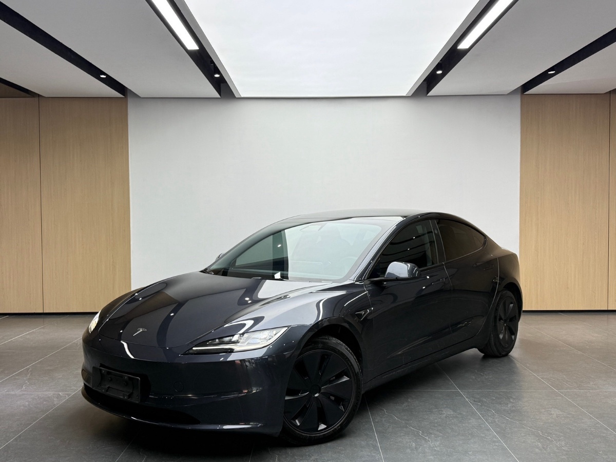 Tesla Model 3 2024 car image 