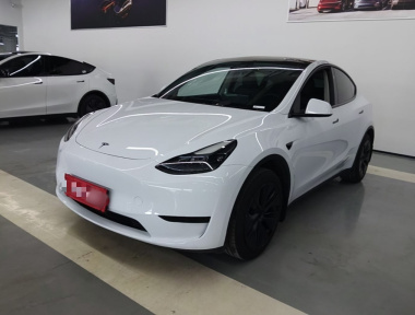 Tesla Model Y 2024 Tesla Model Y 2024 car image