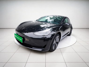 Tesla Model 3 2022 Tesla Model 3 2022 car image