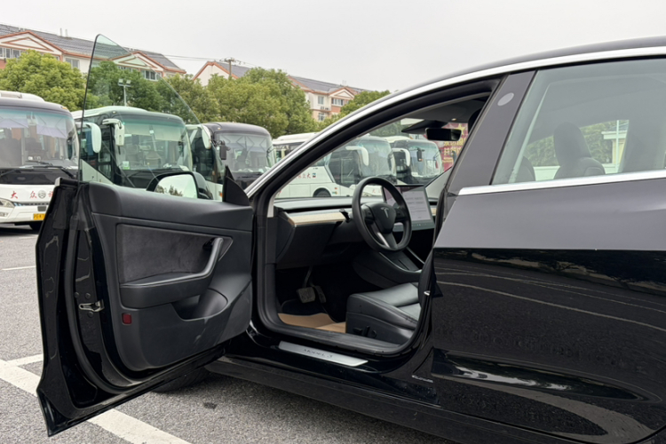 Tesla Model 3 2020 imagem de carro #26