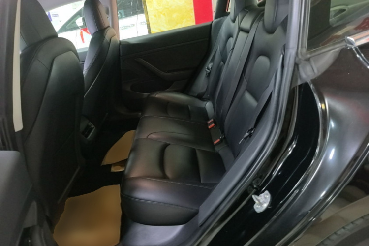 Tesla Model 3 2020 #13 Tesla Model 3 2020 car image #13