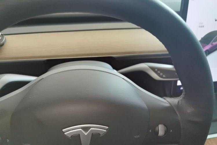 Tesla Model Y 2021 #14 Tesla Model Y 2021 car image #14