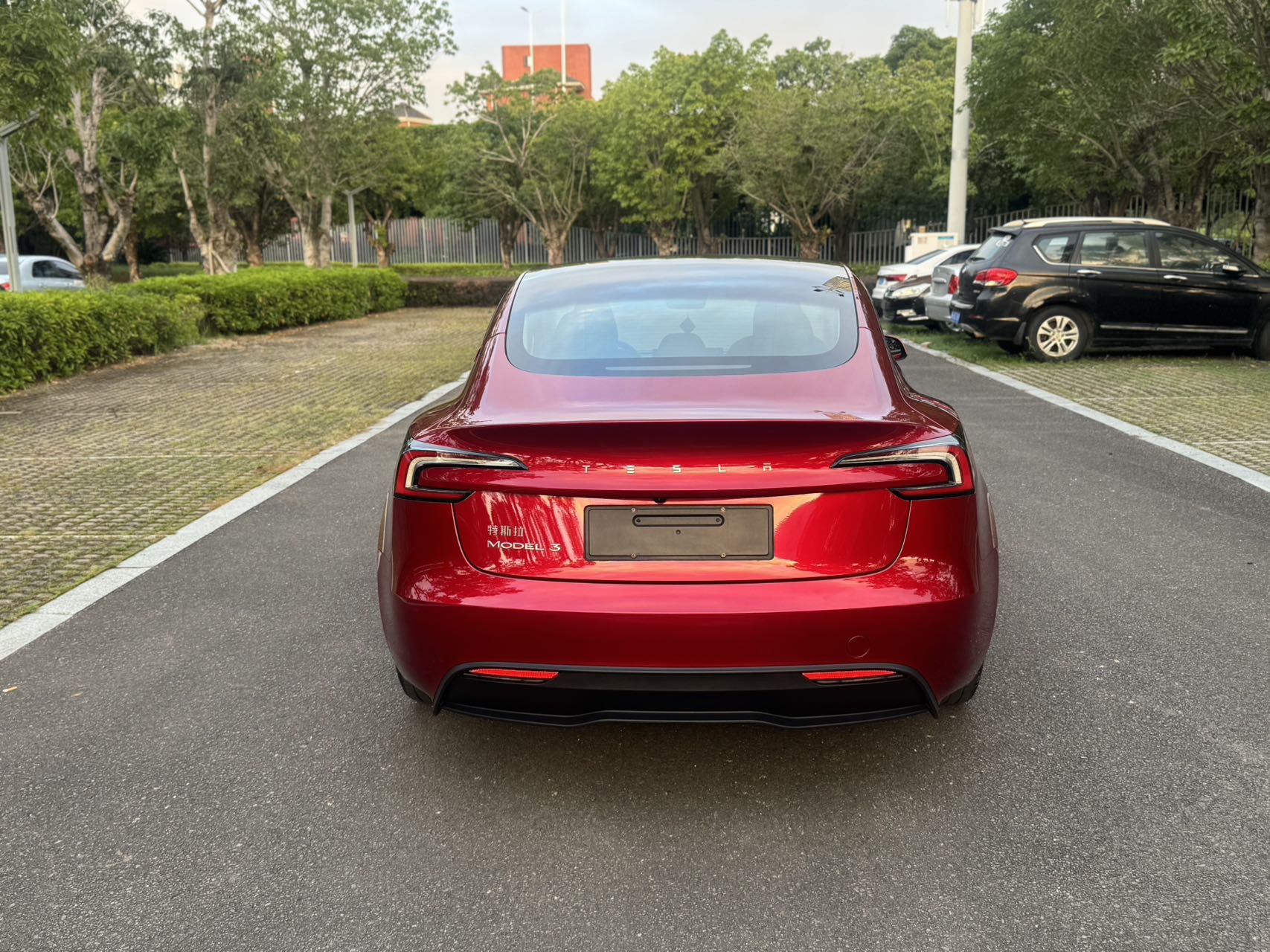 Tesla Model 3 2024 #7 Tesla Model 3 2024 car image #7