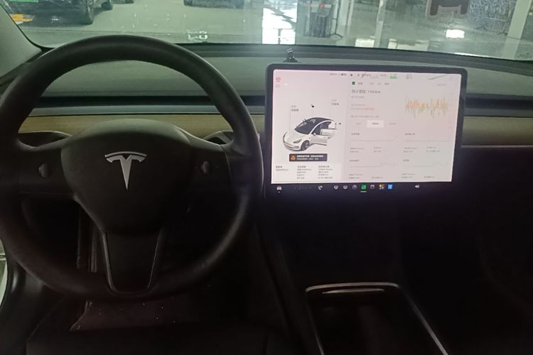 Tesla Model 3 2021 car image #14