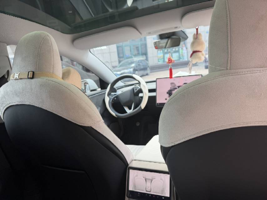 Tesla Model 3 2025 #3 Tesla Model 3 2025 immagine di auto #3