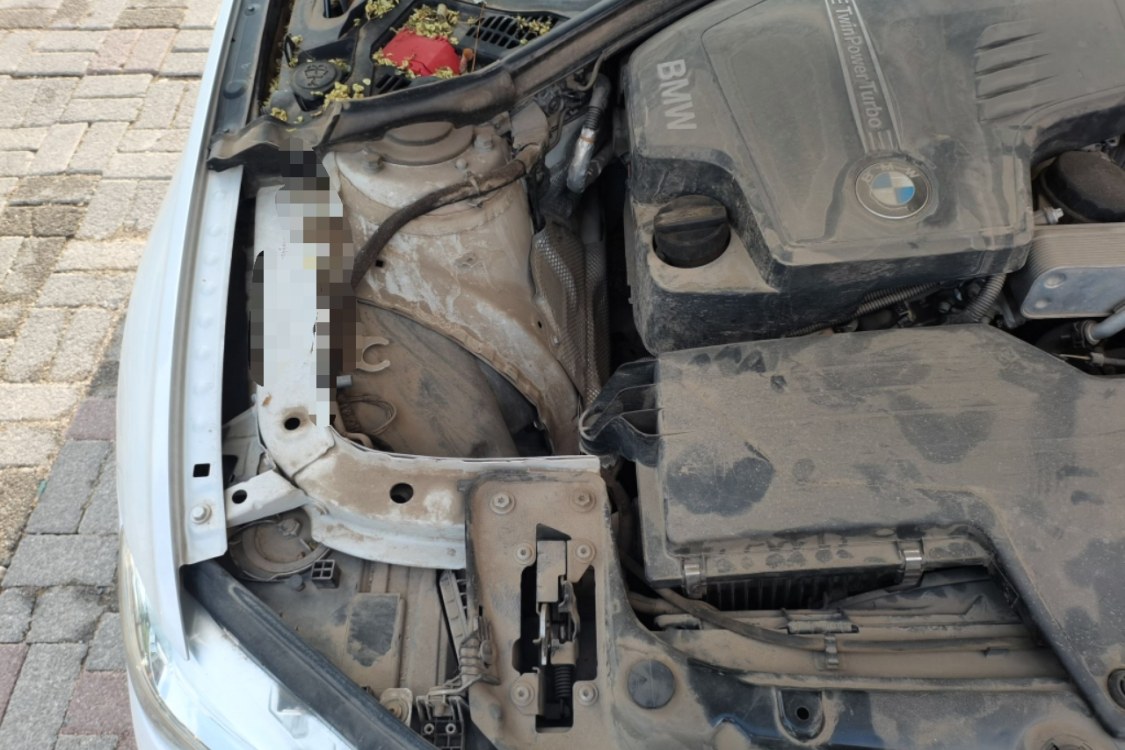 BMW 3 Series 2015 immagine di auto #11