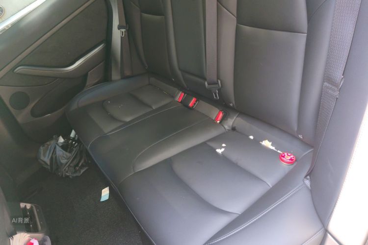 Tesla Model 3 2021 #19 Tesla Model 3 2021 car image #19