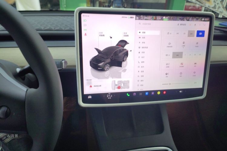 Tesla Model Y 2022 car image #13