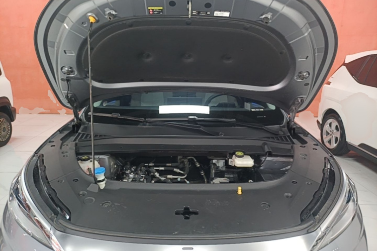 BYD Yuan Plus 2024 car image #20