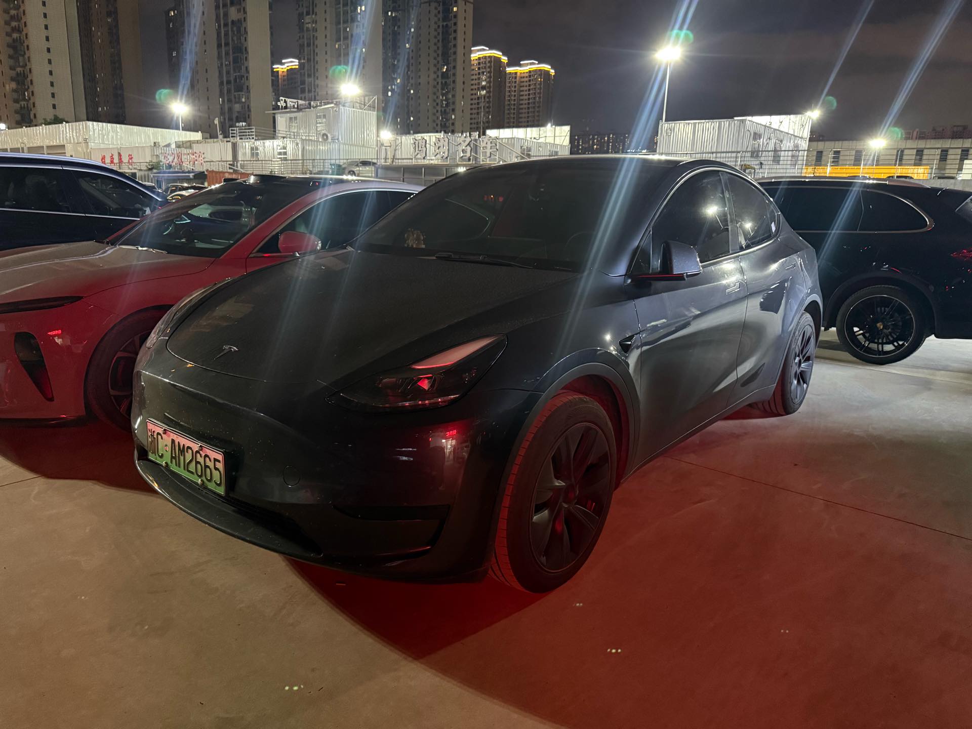 Tesla Model Y 2024 Tesla Model Y 2024 car image