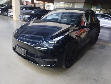 Tesla Model Y 2021 Tesla Model Y 2021 car image