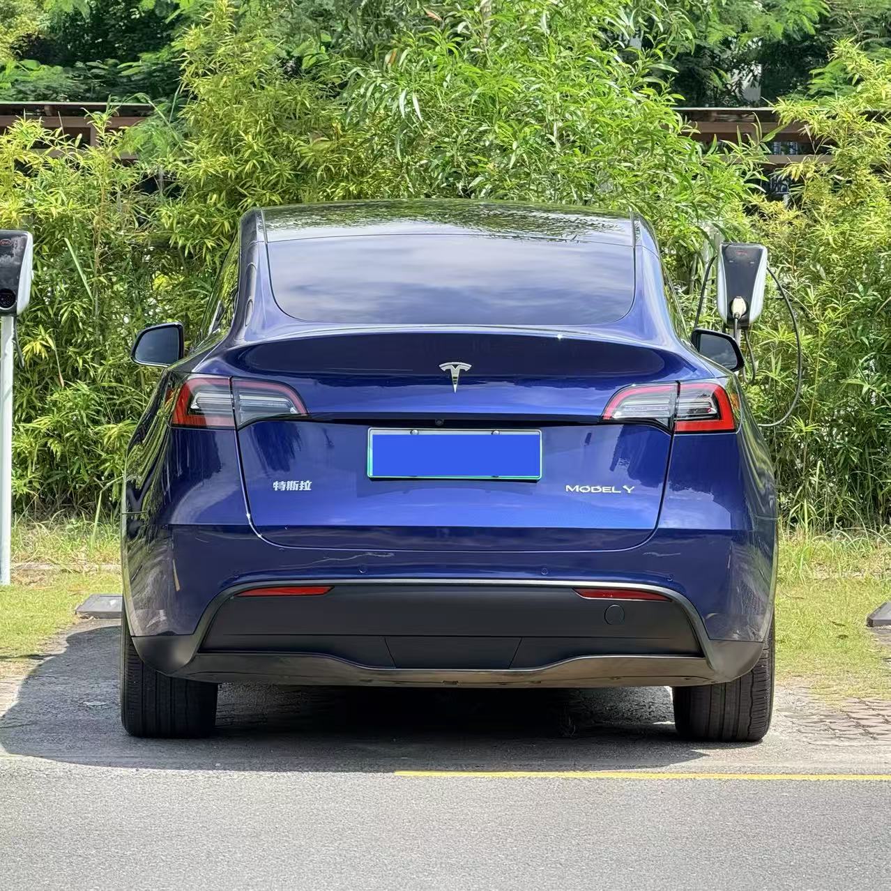 Tesla Model Y 2021 car image #11