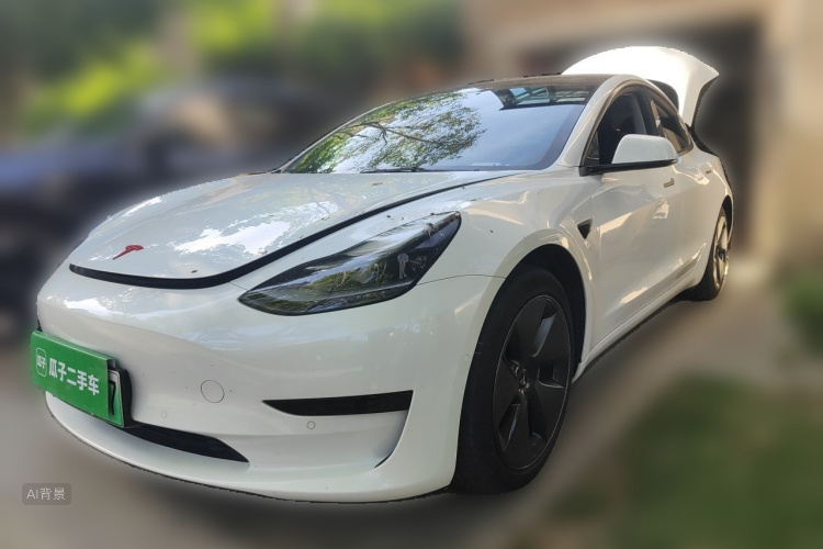 Tesla Model 3 2021 #2 Tesla Model 3 2021 car image #2