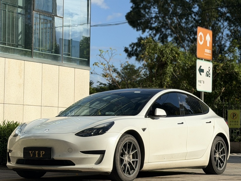 Tesla Model 3 2021 car image #3