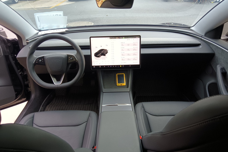 Tesla Model 3 2024 immagine di auto #10