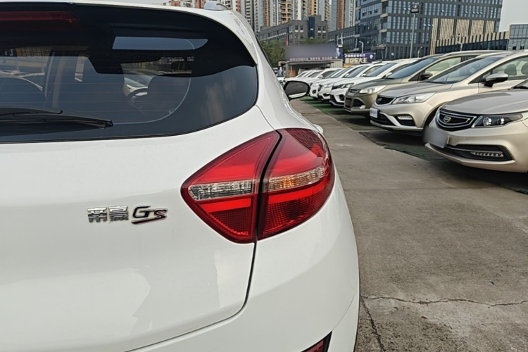 GEELY Emgrand GS 2017 #8 GEELY Emgrand GS 2017 car image #8