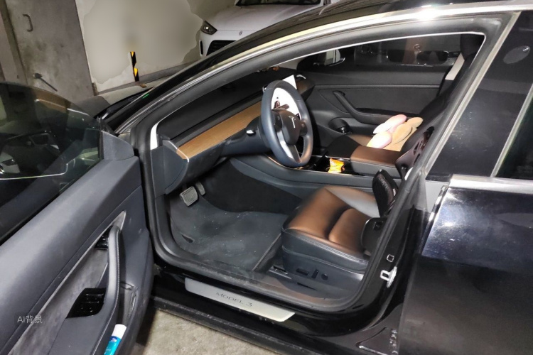 Tesla Model 3 2020 car image #18