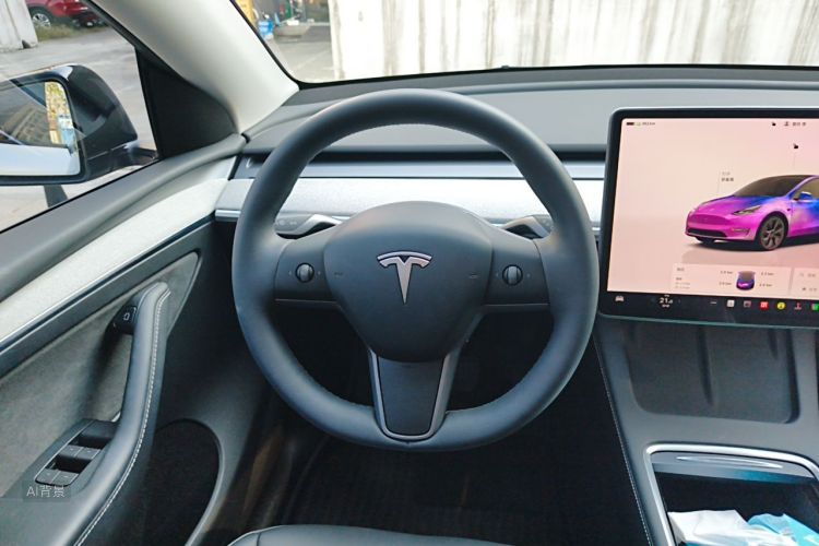 Tesla Model Y 2024 car image #12