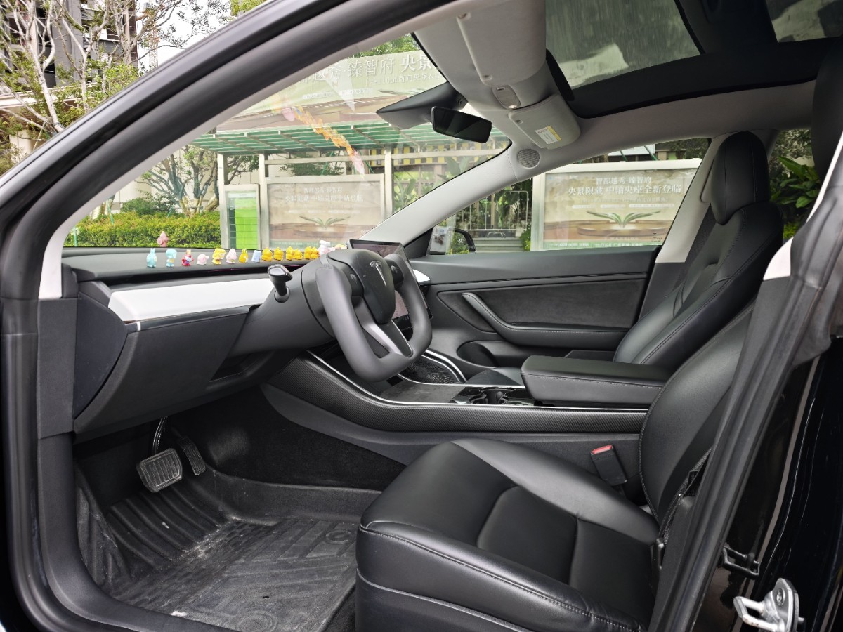 Tesla Model 3 2020 #4 Tesla Model 3 2020 car image #4