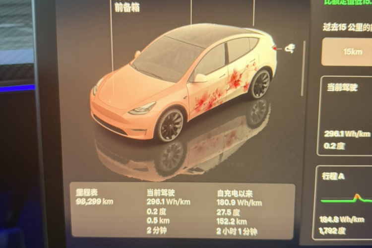 Tesla Model Y 2023 immagine di auto #8