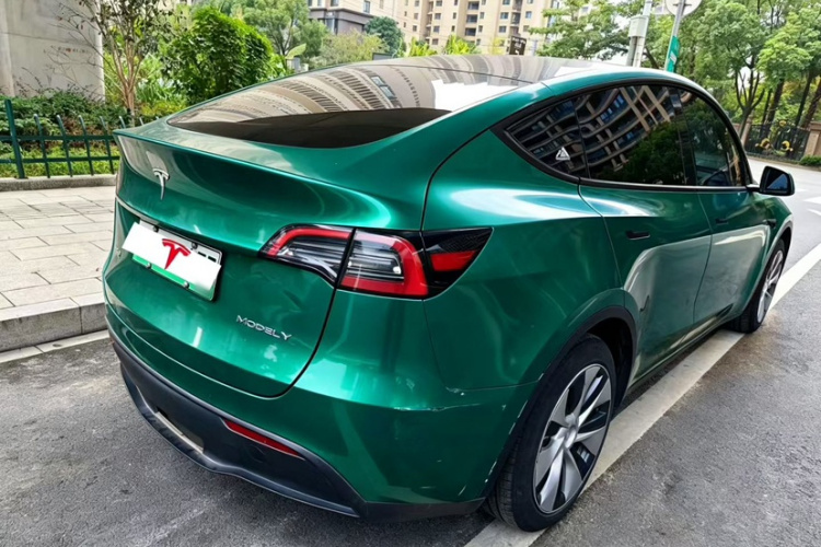Tesla Model Y 2021 car image #6